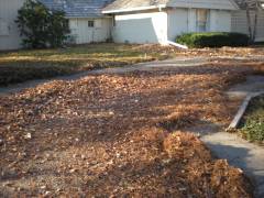 Leaf Cleanup Wichita KS